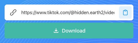 SnapTik download form showing where to paste the TikTok post link