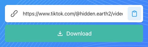 Campo SnapTik in cui incollare il link copiato da un post TikTok