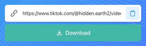 TikTok bağlantısının yapıştırılacağı alanın vurgulandığı SnapTik formu